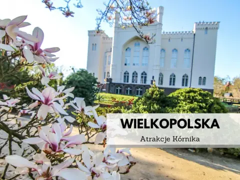 Najlepsze atrakcje w Kórniku, które musisz zobaczyć z rodziną