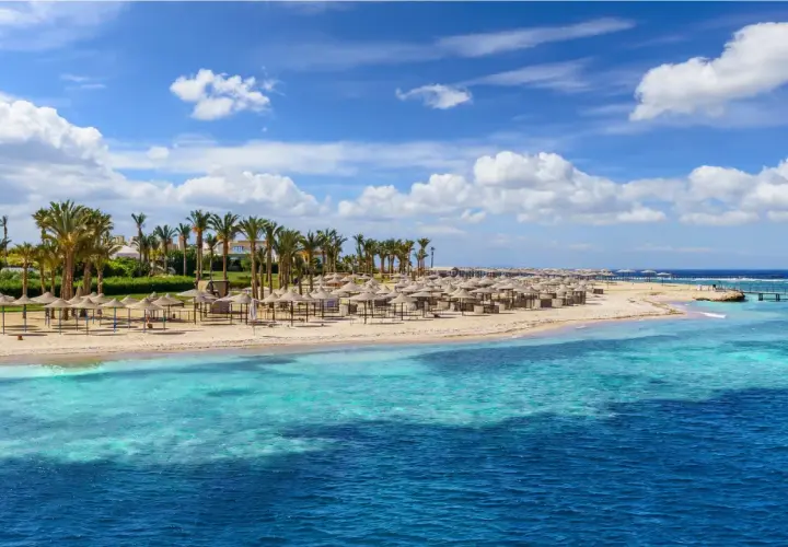 Najlepsze atrakcje w Marsa Alam: nurkowanie, rafy i lokalna kultura