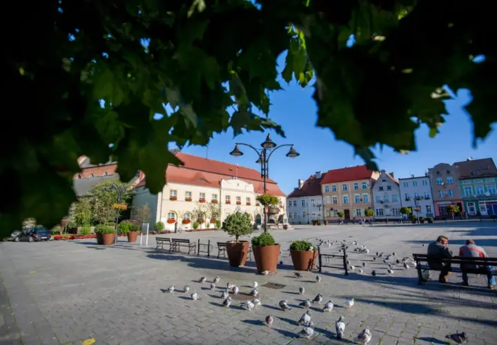 Najlepsze atrakcje w Darłowie, które musisz zobaczyć podczas wizyty