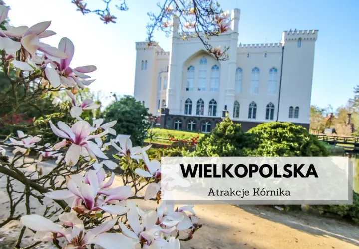 Najlepsze atrakcje w Kórniku, które musisz zobaczyć z rodziną