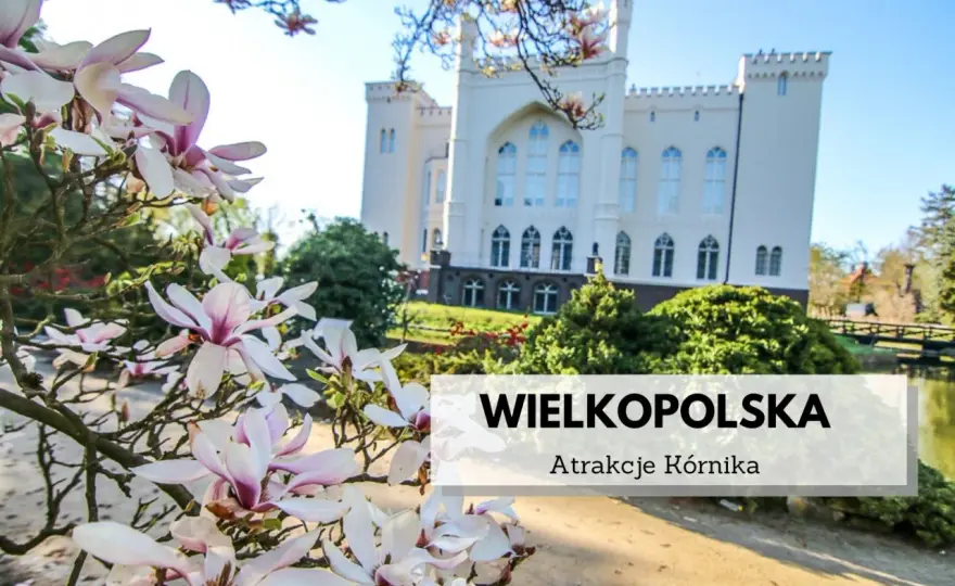 Najlepsze atrakcje w Kórniku, które musisz zobaczyć z rodziną